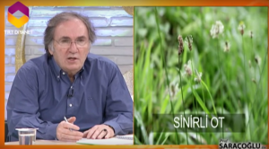 Astıma iyi gelen şifalı bitkileri ibrahim Saraçoğlu açıkladı